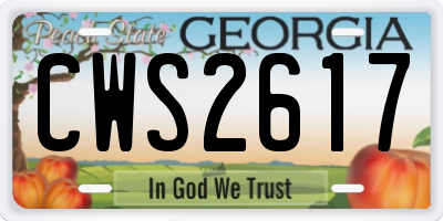 GA license plate CWS2617