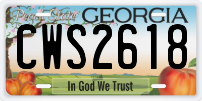 GA license plate CWS2618