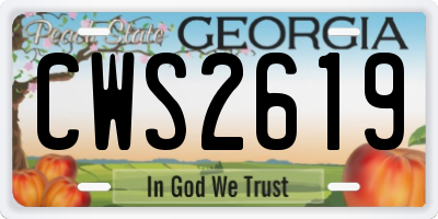 GA license plate CWS2619