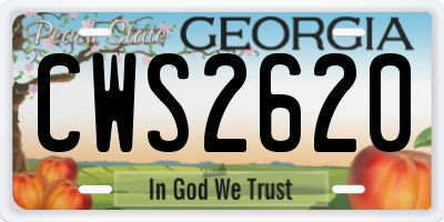 GA license plate CWS2620