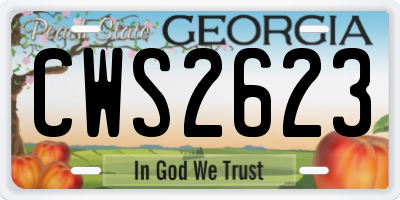 GA license plate CWS2623