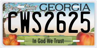 GA license plate CWS2625