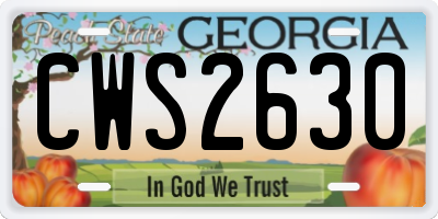 GA license plate CWS2630