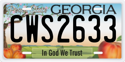 GA license plate CWS2633