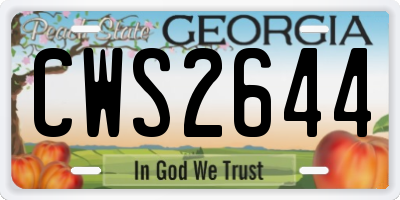 GA license plate CWS2644
