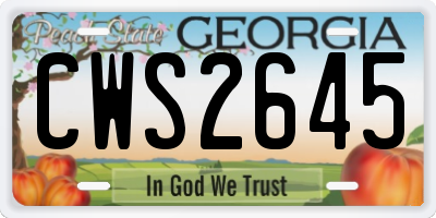 GA license plate CWS2645