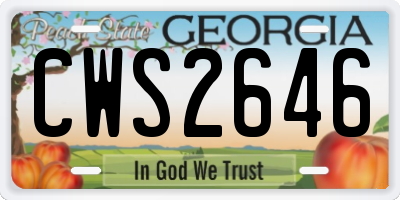 GA license plate CWS2646