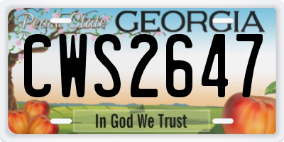 GA license plate CWS2647