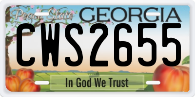 GA license plate CWS2655