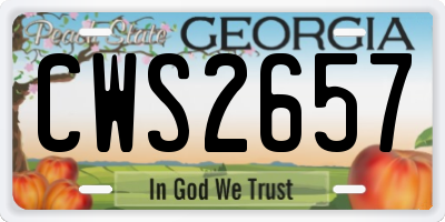 GA license plate CWS2657
