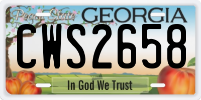 GA license plate CWS2658