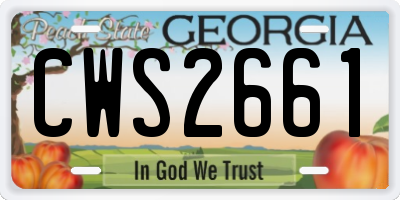 GA license plate CWS2661
