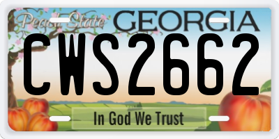 GA license plate CWS2662