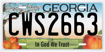 GA license plate CWS2663