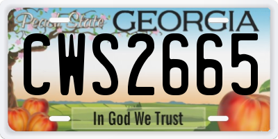 GA license plate CWS2665