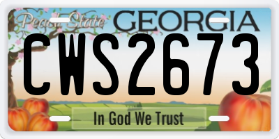 GA license plate CWS2673