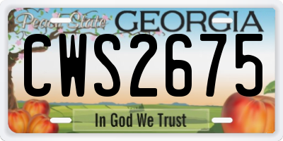 GA license plate CWS2675