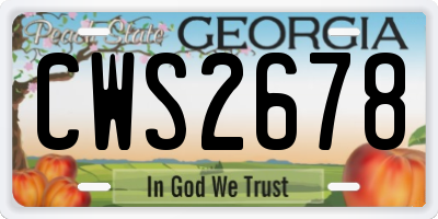 GA license plate CWS2678
