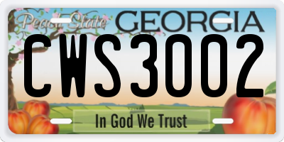 GA license plate CWS3002