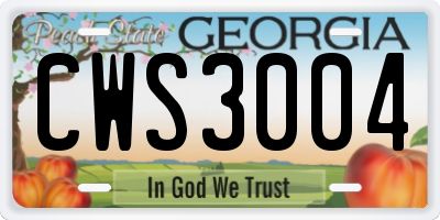 GA license plate CWS3004