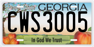 GA license plate CWS3005