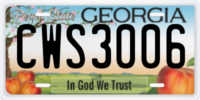 GA license plate CWS3006