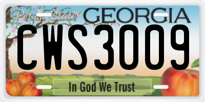 GA license plate CWS3009