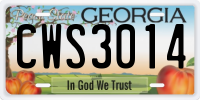 GA license plate CWS3014