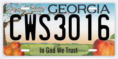 GA license plate CWS3016
