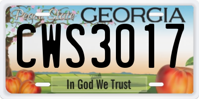 GA license plate CWS3017