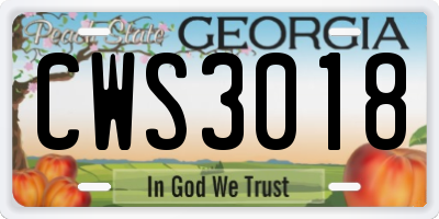 GA license plate CWS3018