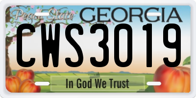 GA license plate CWS3019