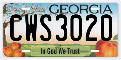 GA license plate CWS3020