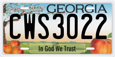 GA license plate CWS3022