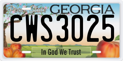 GA license plate CWS3025
