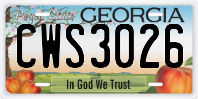 GA license plate CWS3026