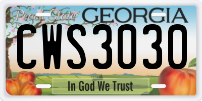 GA license plate CWS3030