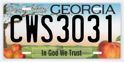 GA license plate CWS3031
