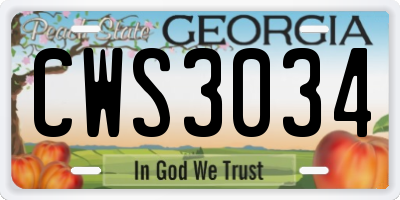 GA license plate CWS3034