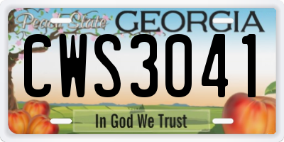 GA license plate CWS3041