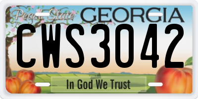 GA license plate CWS3042