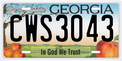 GA license plate CWS3043
