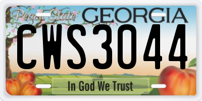 GA license plate CWS3044