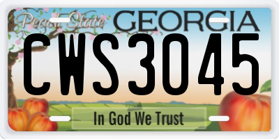 GA license plate CWS3045