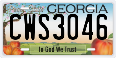 GA license plate CWS3046