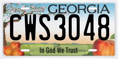 GA license plate CWS3048