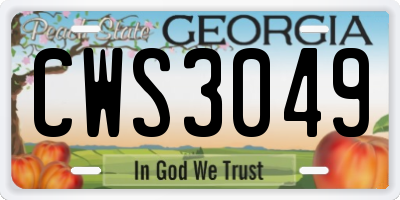GA license plate CWS3049