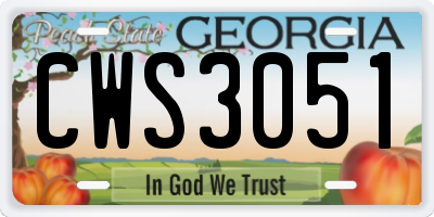 GA license plate CWS3051