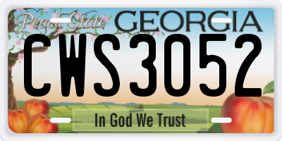 GA license plate CWS3052