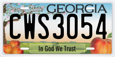 GA license plate CWS3054